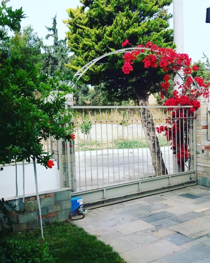Fantastic Villa, A 5 Minute Drive From The Beach! Athens Exterior photo