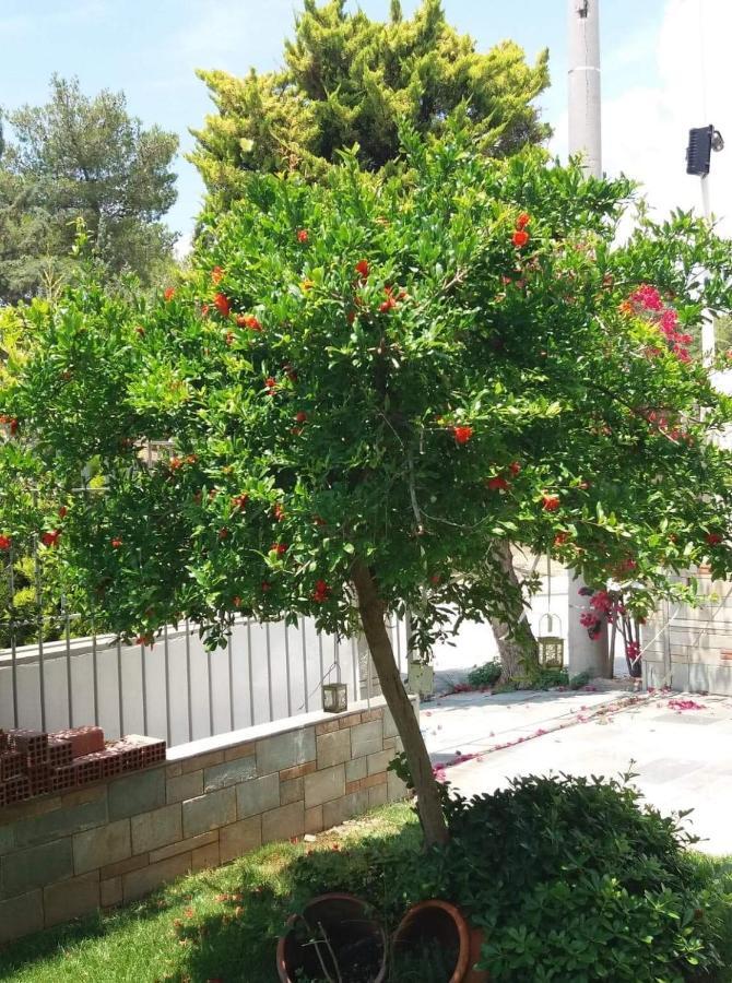 Fantastic Villa, A 5 Minute Drive From The Beach! Athens Exterior photo