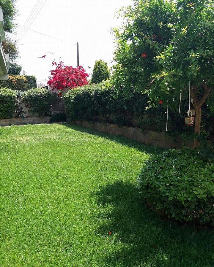 Fantastic Villa, A 5 Minute Drive From The Beach! Athens Exterior photo