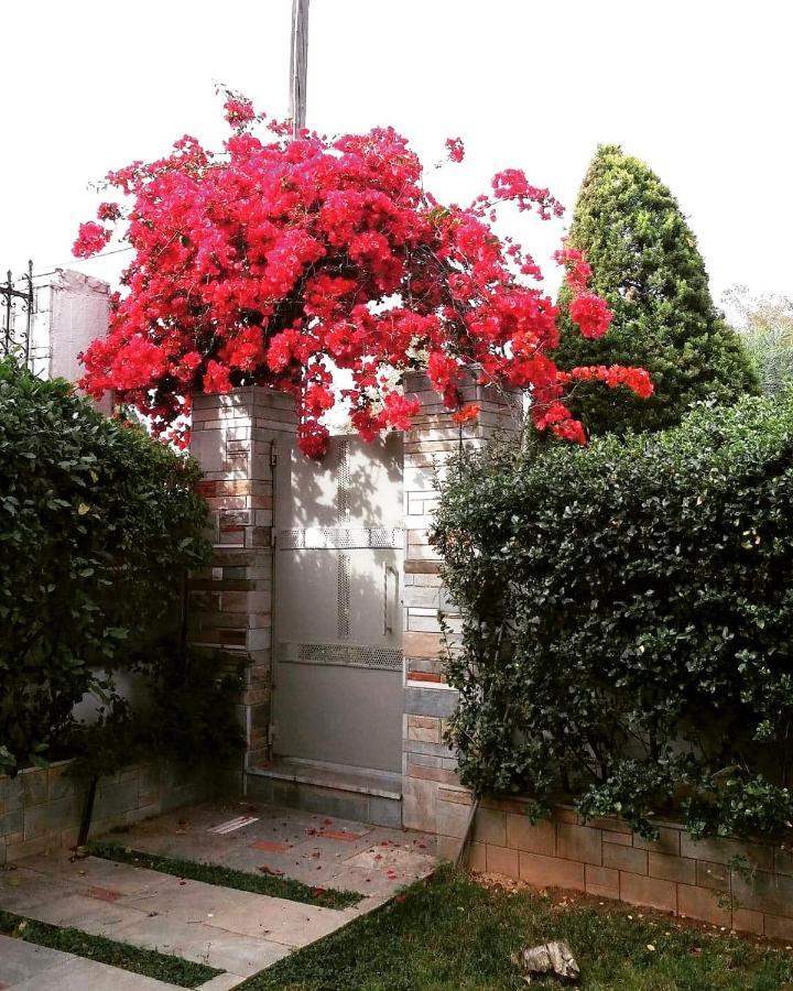 Fantastic Villa, A 5 Minute Drive From The Beach! Athens Exterior photo